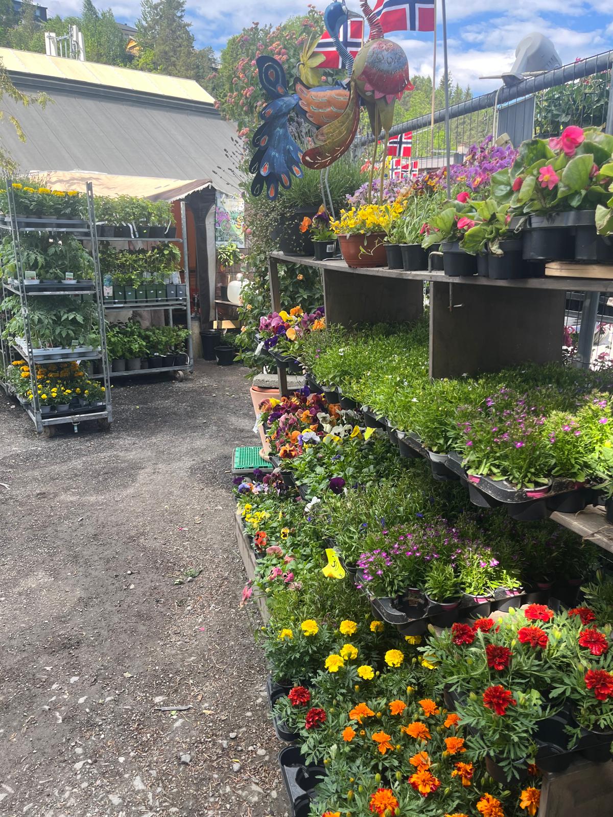 Prinsdal Blomster inngang